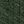 Green Woven