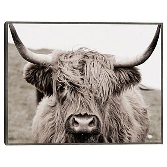 Fine Art Canvas Scruffy Cow Framed Wall Art