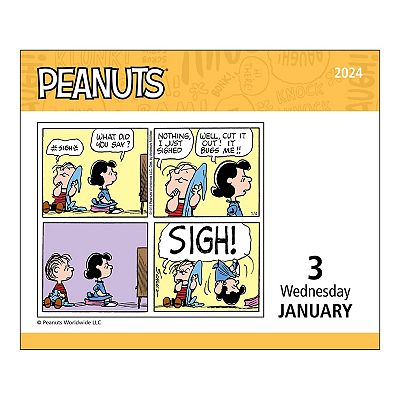 Aazon.co : 2024 Day &ap; Schedule Calendar/Peanuts No. 172