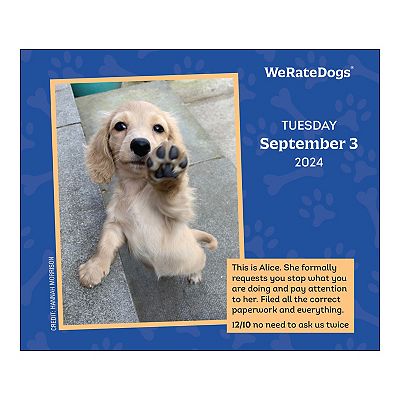Thoughts Of Dog 2024 Day-to-Day Calendar - Cute Daily Dog Quotes & Illustrations, Desk Calendar For Dog Lovers
