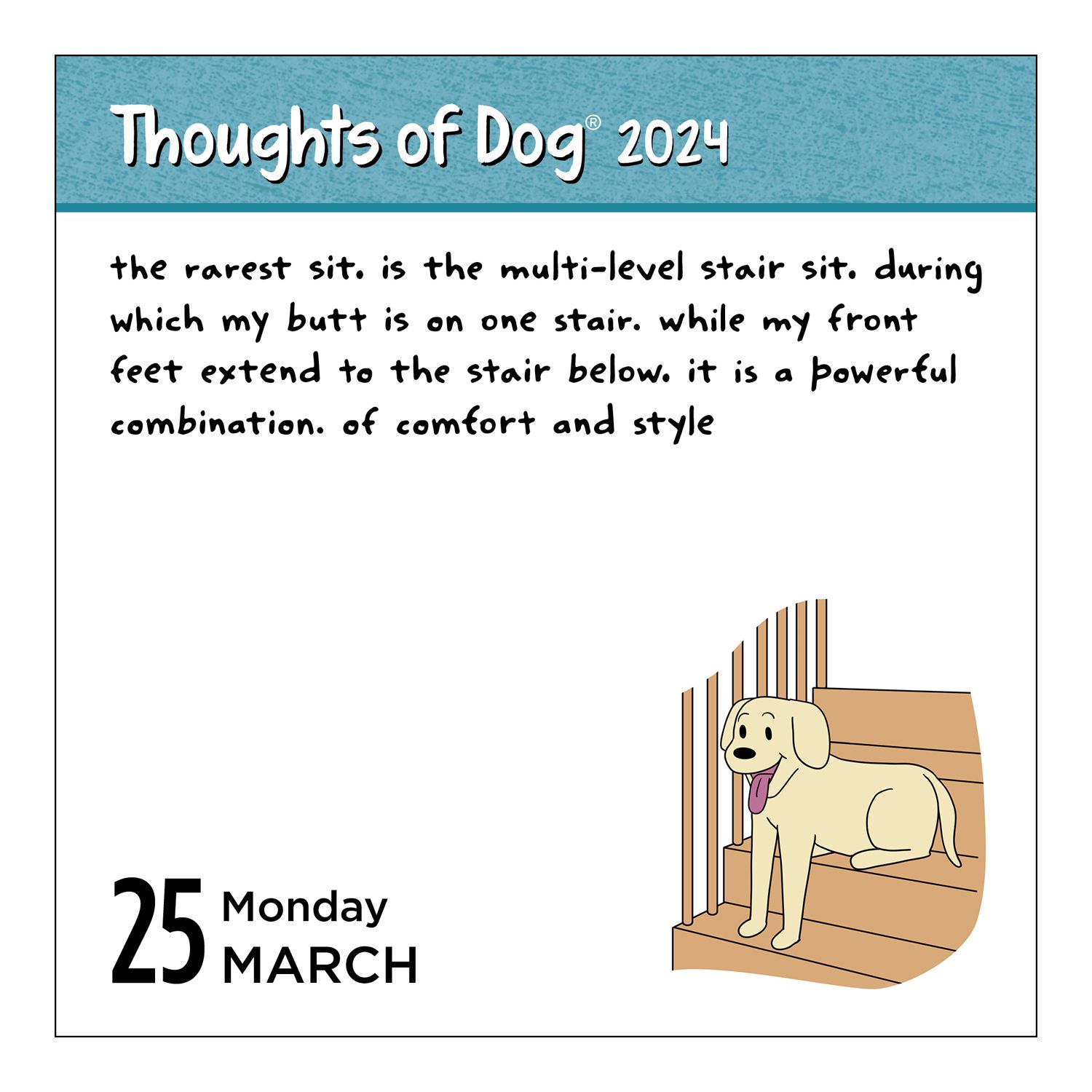 Andrews McMeel Thoughts Of Dog 2024 Day To Day Calendar   6491254 ALT5