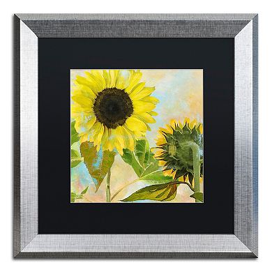 Trademark Fine Art Soleil I Silver Finish Framed Wall Art