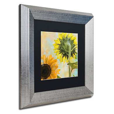 Trademark Fine Art Soleil II Silver Finish Framed Wall Art
