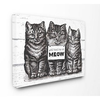 Stupell Home Decor Had Me At Meow Canvas Wall Art - Size: 24X30