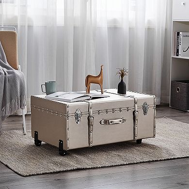 Texture® Brand Metallic Storage Trunk