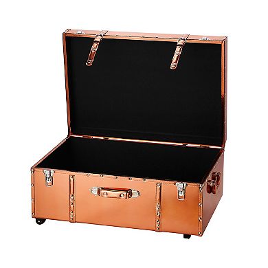 Texture® Brand Metallic Storage Trunk