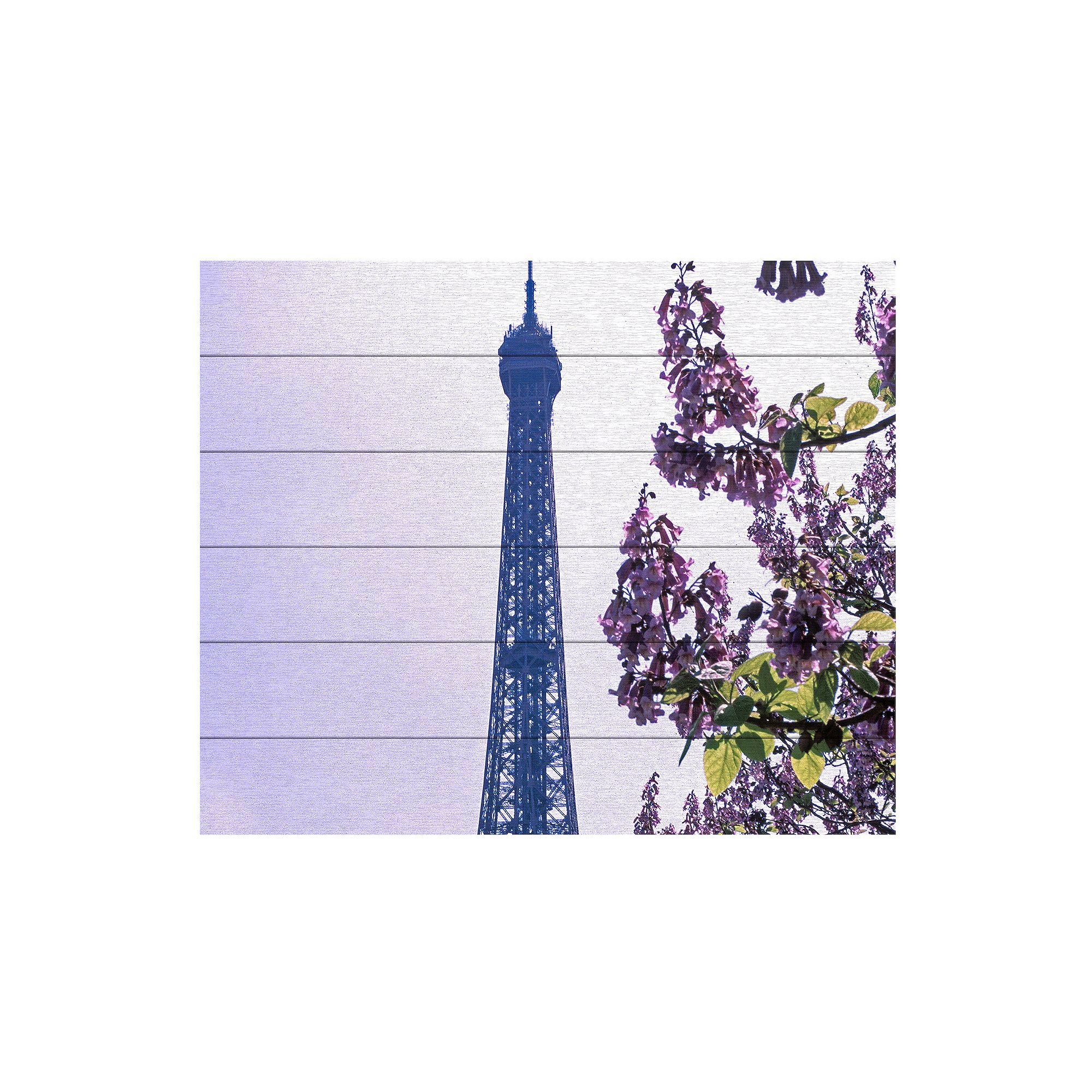 Trademark Fine Art Kathy Yates Eiffel Tower with Blossoms Wood Slat Art -