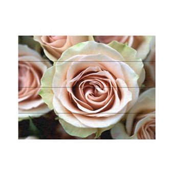 Trademark Fine Art Kathy Yates 'Pale Pink Roses' Wood Slat Art - Size: 16X13