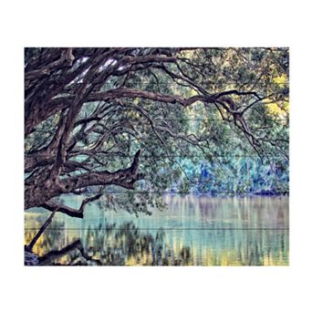 Trademark Fine Art Beata Czyzowska Young 'A Place to Dream' Wood Slat Art - Size: 16X13