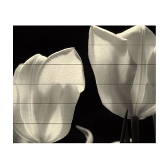 Trademark Fine Art Martha Guerra 'Tulips' Wood Slat Art - Size: 22X18