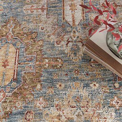 Nourison Petra Oramental Indoor Rug