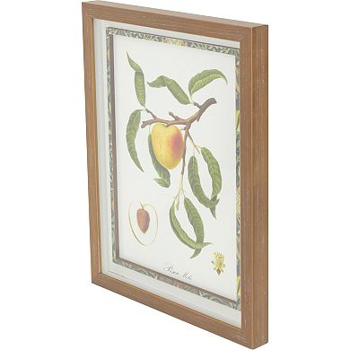 Fruit Diagrams Framed Wall Art 2-piece Set