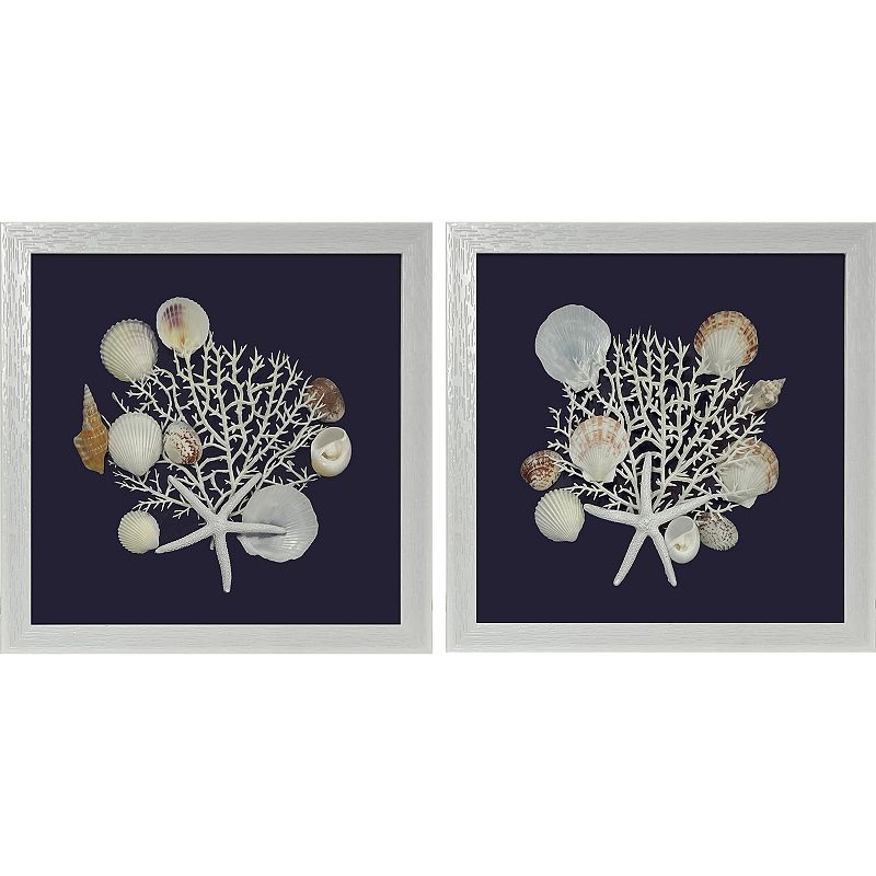 Seashell Shadowboxes Wall Decor 2-piece Set, Multi