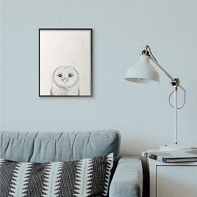 Stupell Home Decor Owl Portrait Framed Wall Art