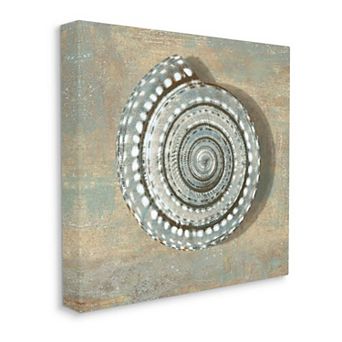 Stupell Home Decor Spiral Shell Beach Canvas Wall Art - Size 36x36