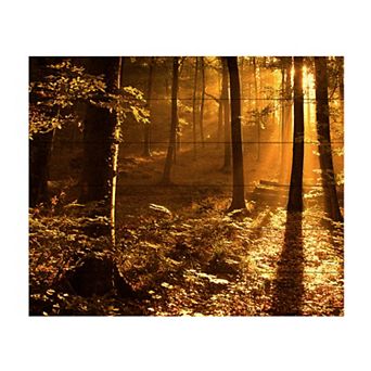 Trademark Fine Art Morning Light Wood Slat Wall Art - Size: 12"x16"