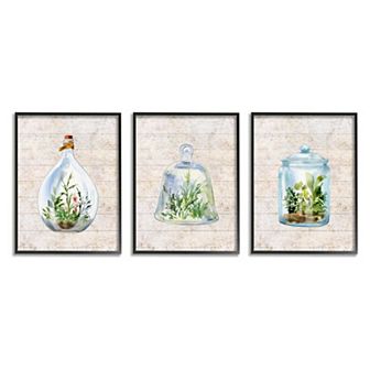 Stupell Home Decor Enclosed Succulent Jars Wall Art 3 pc Set