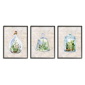 Stupell Home Decor Enclosed Succulent Jars Wall Art 3 pc Set