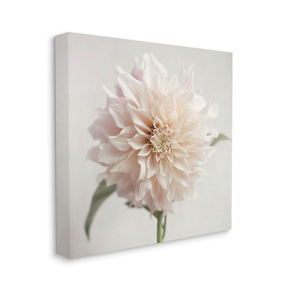 Stupell Home Decor Floral Dahlia Canvas Wall Art
