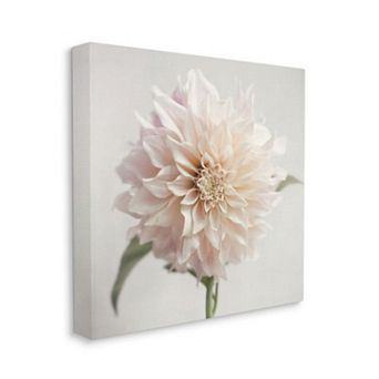 Stupell Home Decor Floral Dahlia Canvas Wall Art