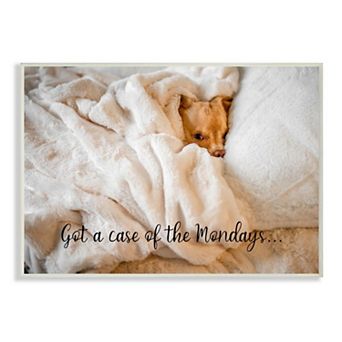 Stupell Home Decor Case of the Mondays Pet Humor Wall Art - Size: 10X15