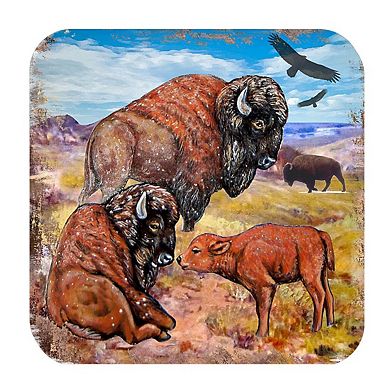 Buffalos Wooden Cork Coasters Gift Set of 4 by Nature Wonders