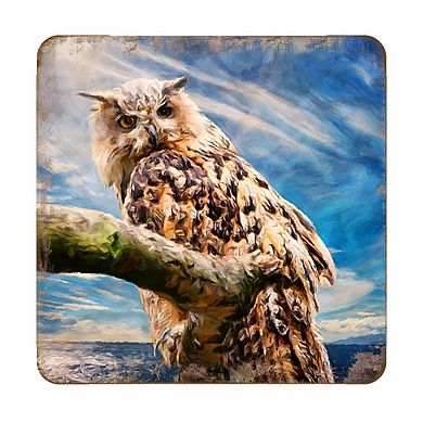 Owl Wooden Cork Coasters Gift Set of 4 by Nature Wonders