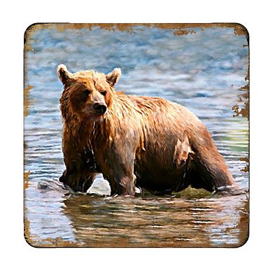 Bear Wooden Cork Coasters Gift Set of 4 by Nature Wonders