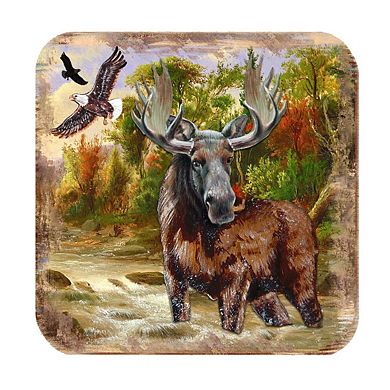 Moose Wooden Cork Coasters Gift Set of 4 by Nature Wonders