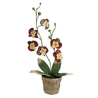 14" Crimson Red and Banana Yellow Decorative Orchids in Pot