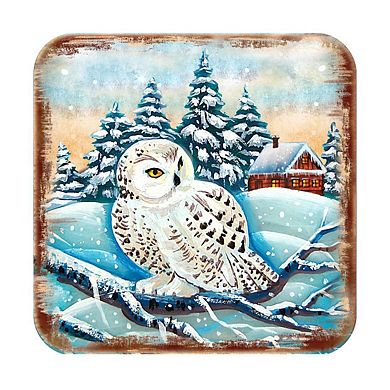 Owl Wooden Cork Coasters Gift Set of 4 by Nature Wonders
