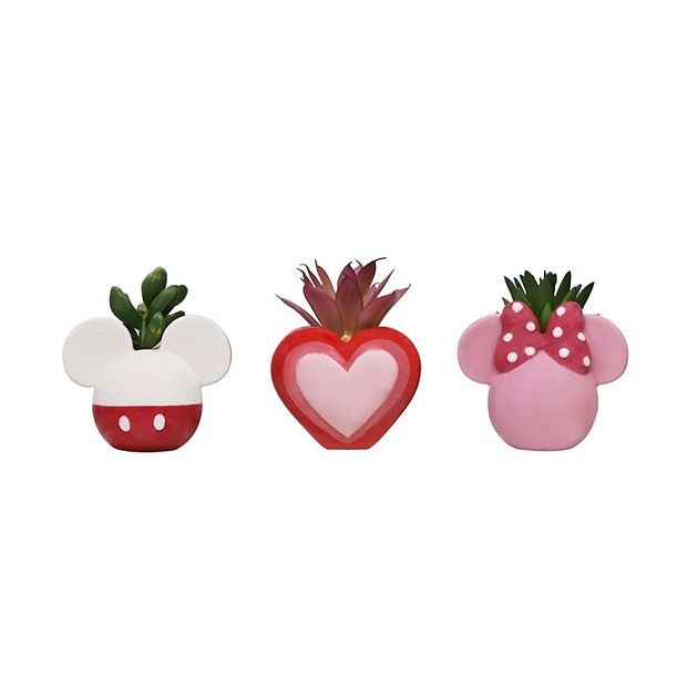 みぃこどん品　T. Succulent Form × Nizandaセット Disney's Mickey & Minnie Succulent Trio by Celebrate Together™