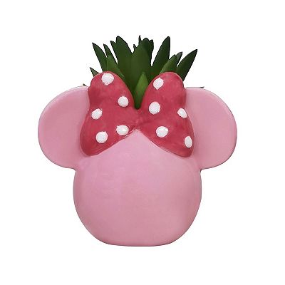 Disney's Mickey & Minnie Succulent Trio by Celebrate Together™