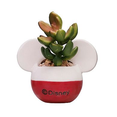 Disney's Mickey & Minnie Succulent Trio by Celebrate Together™