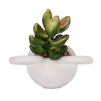 Disney's Mickey & Minnie Succulent Trio by Celebrate Together™