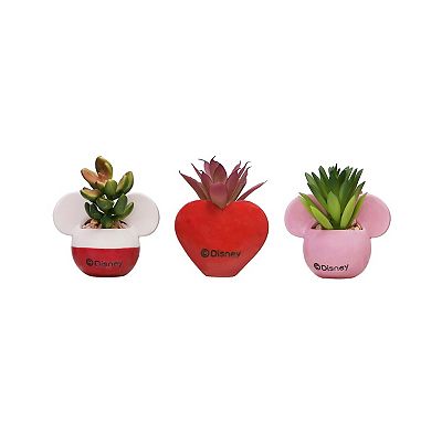 みぃこどん品　T. Succulent Form × Nizandaセット Disney's Mickey & Minnie Succulent Trio by Celebrate Together™
