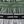 Gre Gray Tennis 3 Pk