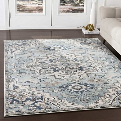 Acerra Traditional Area Rug