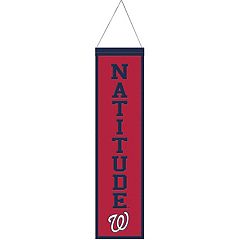 24 x 38 MLB Texas Rangers Wool Banner