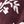 Burgundy Flowr Sprig