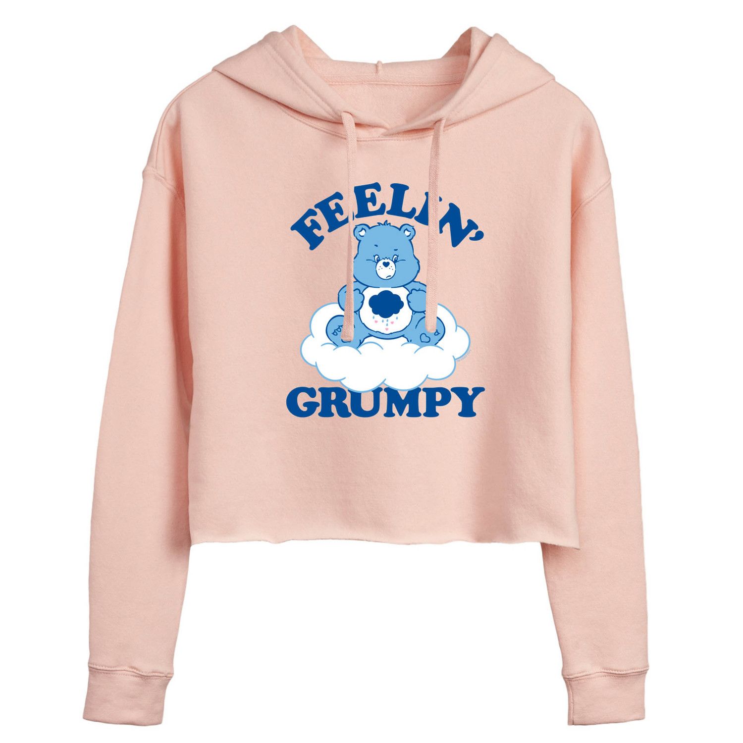 Grumpy on sale bear hoodie