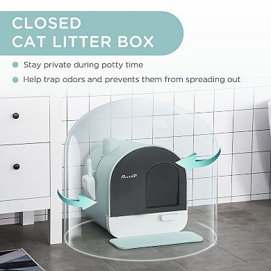 PawHut Cat Litter Box with Lid, Covered Litter Box for Indoor Cats with Tray, Scoop, Filter, 17" x 17" x 18.5", Green