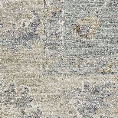 Nourison Asher Persian Indoor only Area Rug
