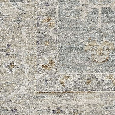 Nourison Asher Traditional Indoor only Area Rug