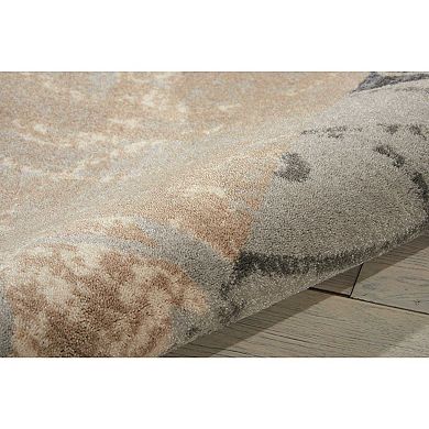 Nourison Maxell Multicolor Area Rug