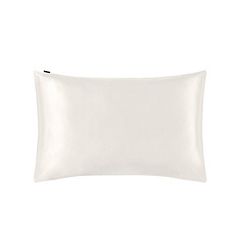 Lilysilk Best Mulberry Pure Silk Pillowcase for Hair US