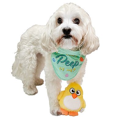 Woof You Want A Peep of Me Bandana and Toy Set
