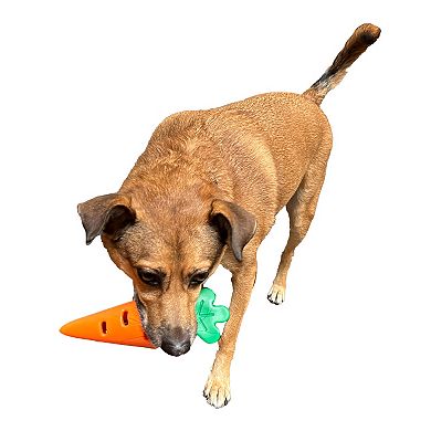 Woof Carrot Dog Toy