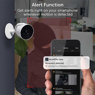 Wi-Fi Smart 1080P Indoor IP Camera