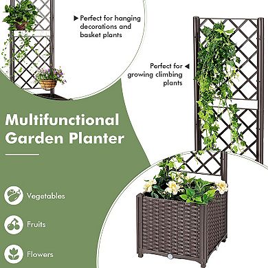 Raised Garden Bed with Trellis Planter Box for Climbing Plants -Brown